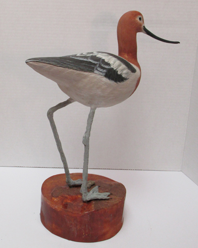Avocet Carving
